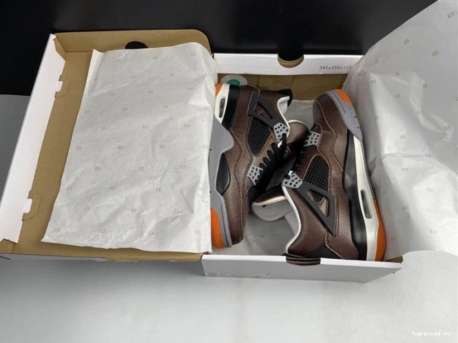 CW7183-100 Starfish Air Retro 4 (W) Jordan 1102